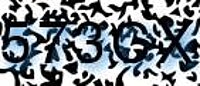 grafischer Sicherheitscode