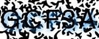 grafischer Sicherheitscode