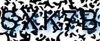 grafischer Sicherheitscode