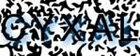 grafischer Sicherheitscode