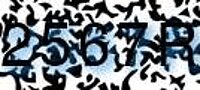 grafischer Sicherheitscode
