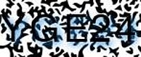 grafischer Sicherheitscode