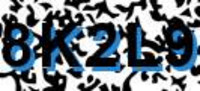 grafischer Sicherheitscode