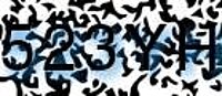grafischer Sicherheitscode