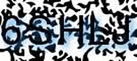 grafischer Sicherheitscode