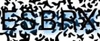 grafischer Sicherheitscode