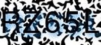grafischer Sicherheitscode