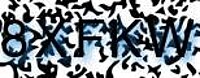grafischer Sicherheitscode