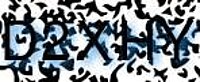 grafischer Sicherheitscode