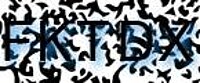 grafischer Sicherheitscode